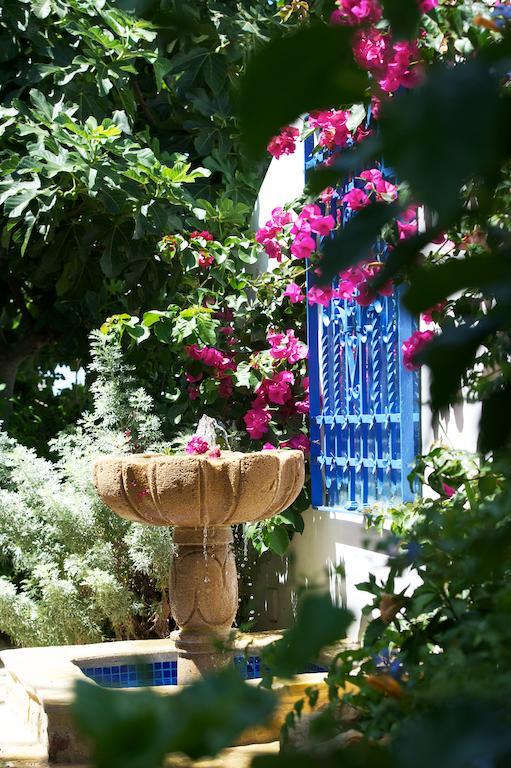 La Vista De Medina Studios & Apartments Екстериор снимка